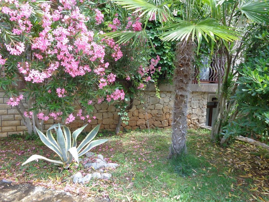 I & S Vodice